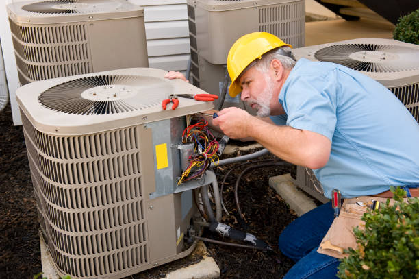 Best HVAC air duct cleaning  in Columbus, MN